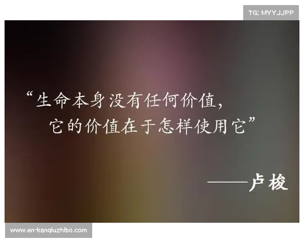 板球经济学视角下IPL特许经营权十年价值飙升800%的资本运作解析 板球经济学视角下IPL特许经营权十年价值飙升800%的资本运作解析